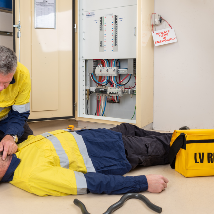 Perform Rescue From A Live Low Voltage Panel & CPR IMAGE